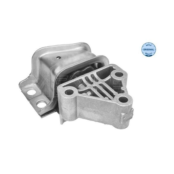 Variklio montavimas MEYLE 214 030 0031