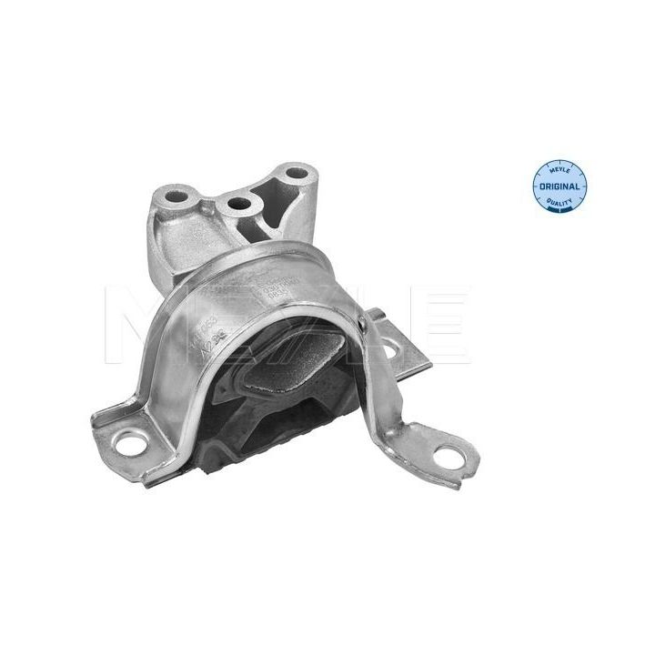 Variklio montavimas MEYLE 214 030 0040