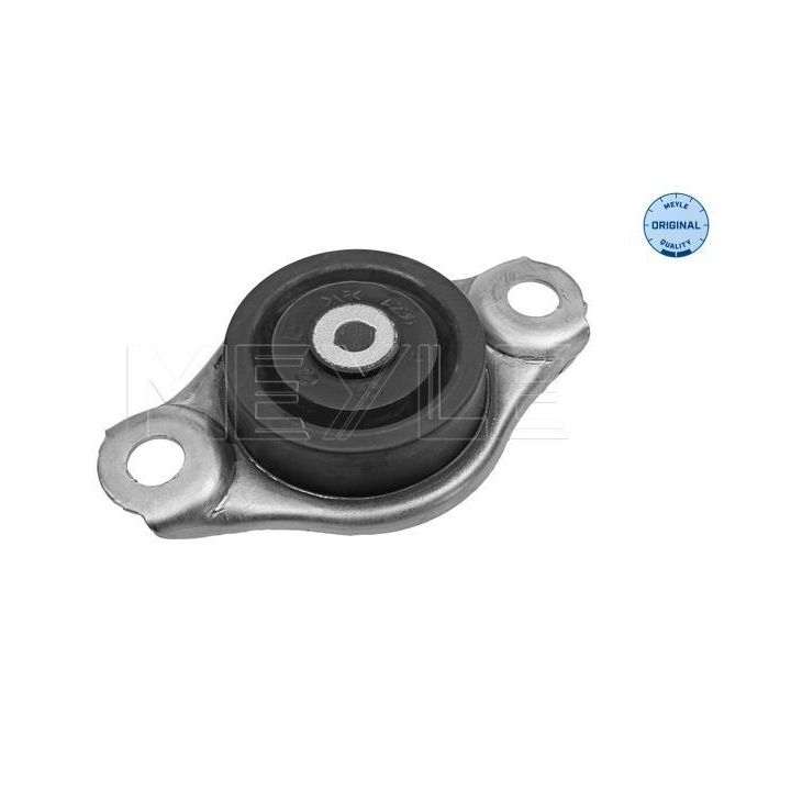 Variklio montavimas MEYLE 214 030 0042