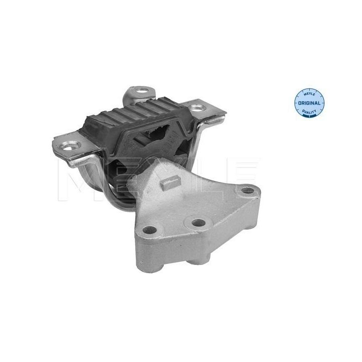 Variklio montavimas MEYLE 214 030 0056