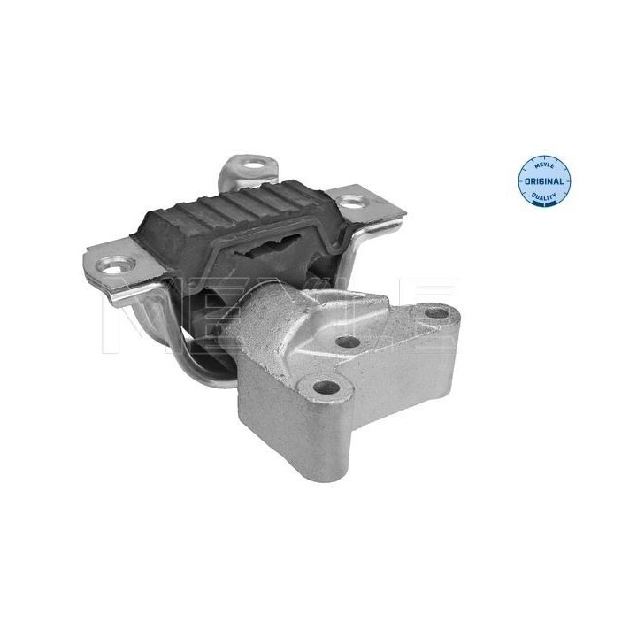 Variklio montavimas MEYLE 214 030 0059