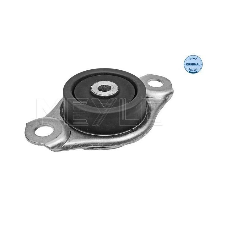Variklio montavimas MEYLE 214 030 0060