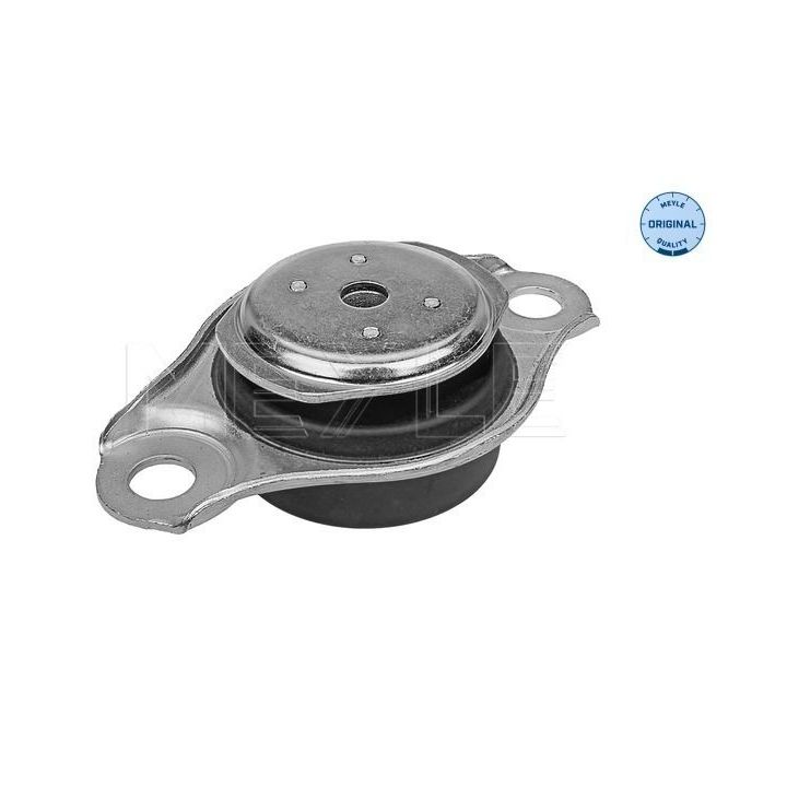 Variklio montavimas MEYLE 214 030 0060