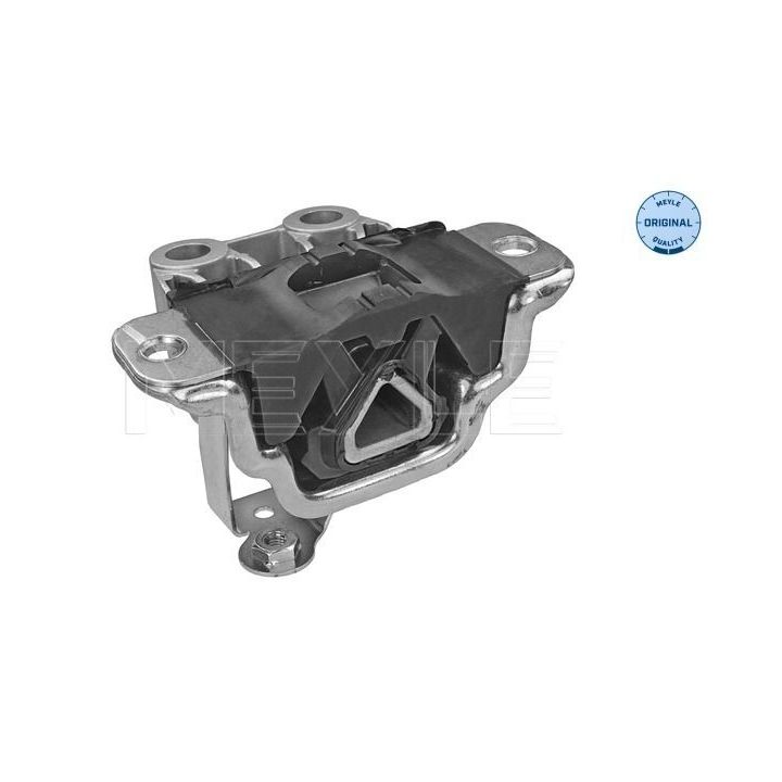 Variklio montavimas MEYLE 214 030 0068