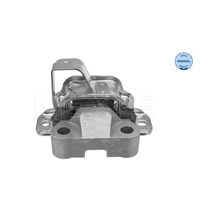 Variklio montavimas MEYLE 214 030 0071