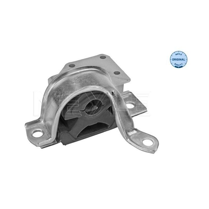 Variklio montavimas MEYLE 214 030 0073