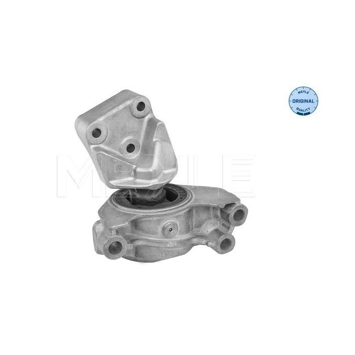 Variklio montavimas MEYLE 214 030 0085