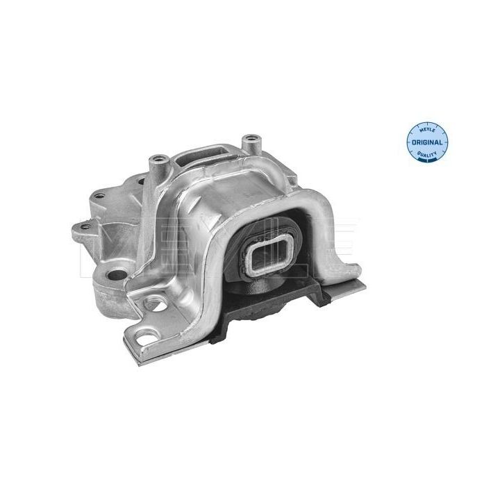 Variklio montavimas MEYLE 214 030 0087