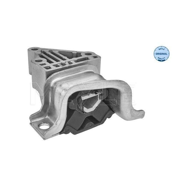 Variklio montavimas MEYLE 214 030 0089