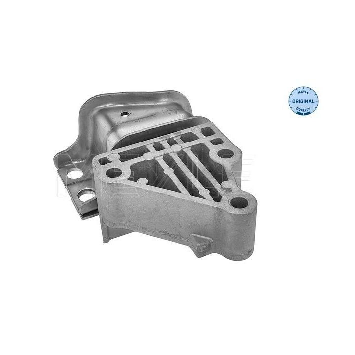 Variklio montavimas MEYLE 214 030 0089