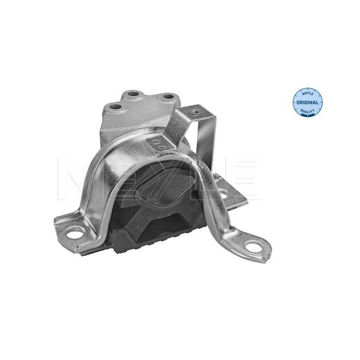 Variklio montavimas MEYLE 214 030 1025