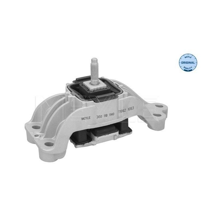 Variklio montavimas MEYLE 300 118 1140