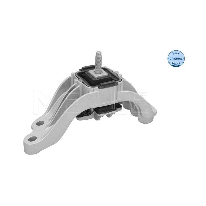 Variklio montavimas MEYLE 300 118 1140