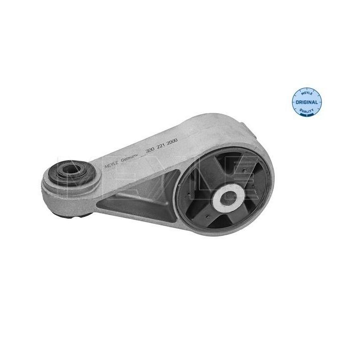 Variklio montavimas MEYLE 300 221 2000