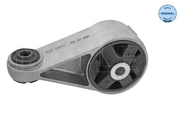 Variklio montavimas MEYLE 300 221 2000