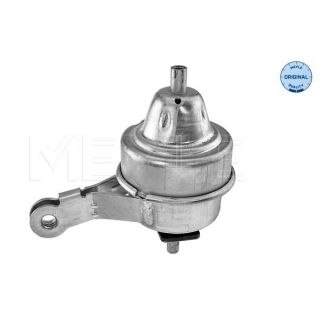 Variklio montavimas MEYLE 300 221 2001