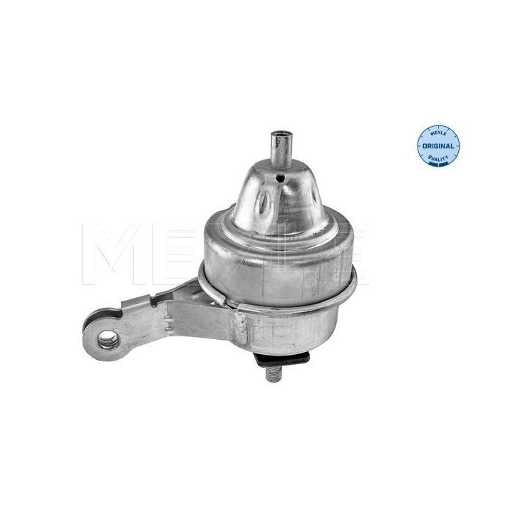 Variklio montavimas MEYLE 300 221 2001