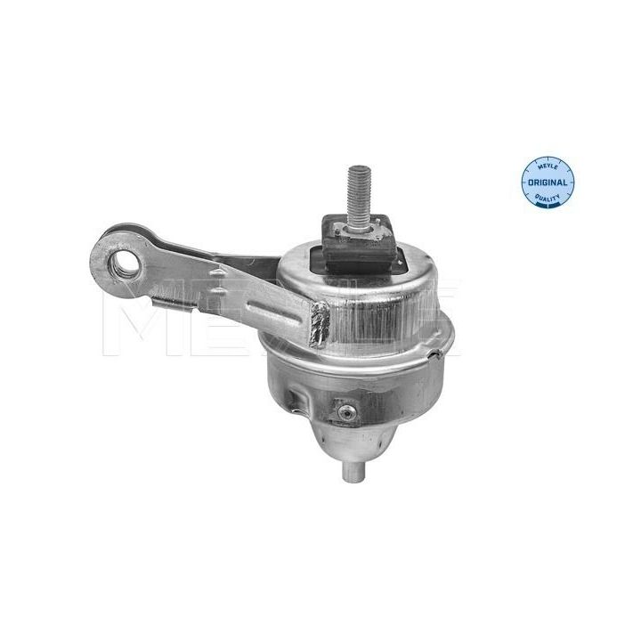 Variklio montavimas MEYLE 300 221 2001