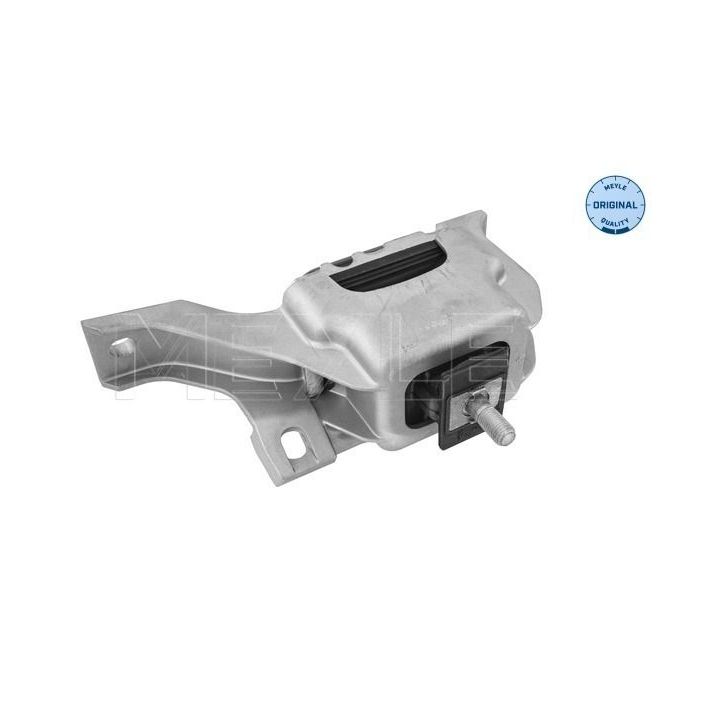 Variklio montavimas MEYLE 300 221 2003