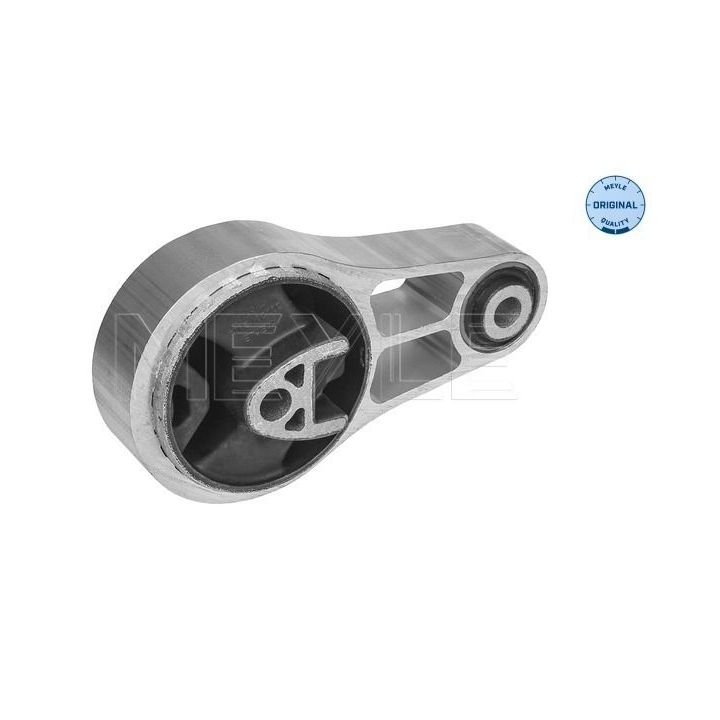 Variklio montavimas MEYLE 300 221 2004