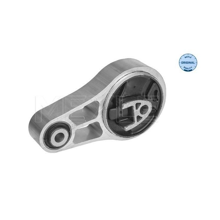 Variklio montavimas MEYLE 300 221 2004