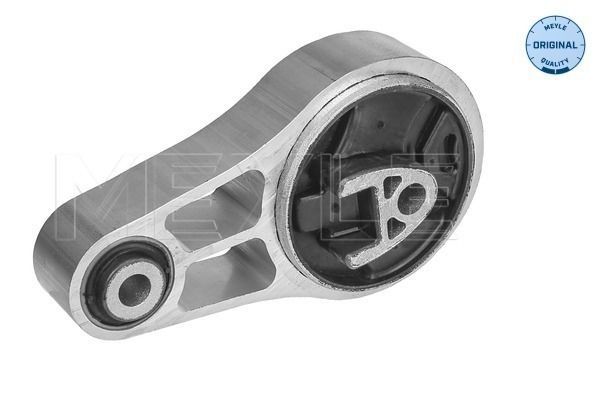 Variklio montavimas MEYLE 300 221 2004