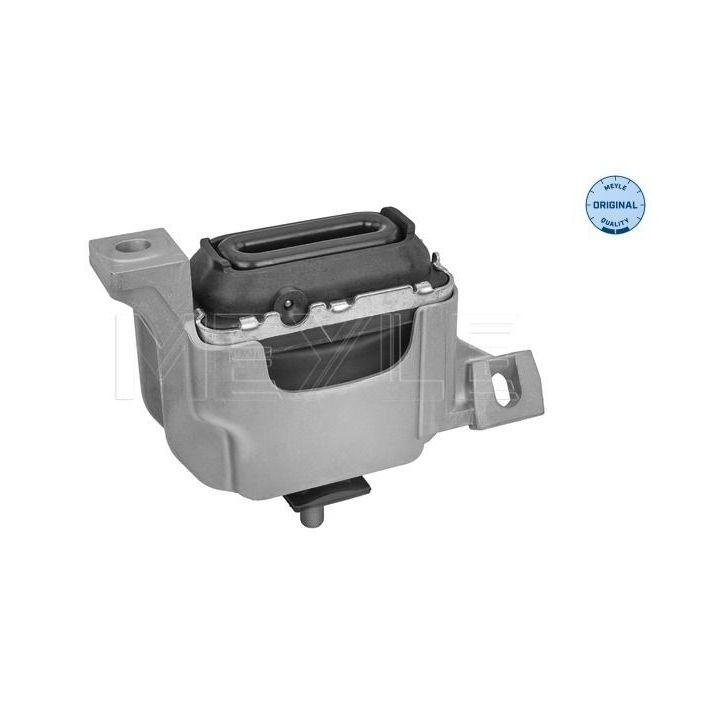 Variklio montavimas MEYLE 300 221 2005