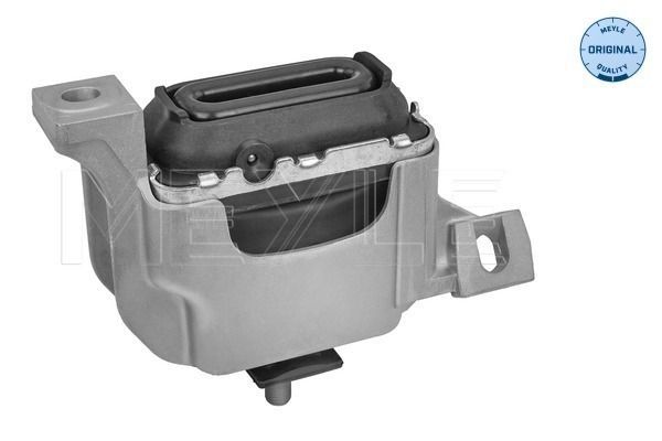 Variklio montavimas MEYLE 300 221 2005