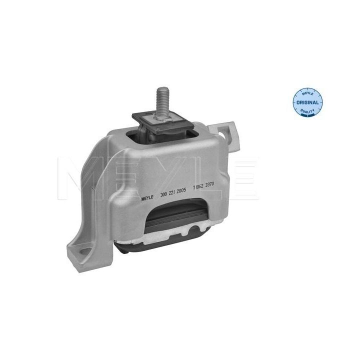 Variklio montavimas MEYLE 300 221 2005