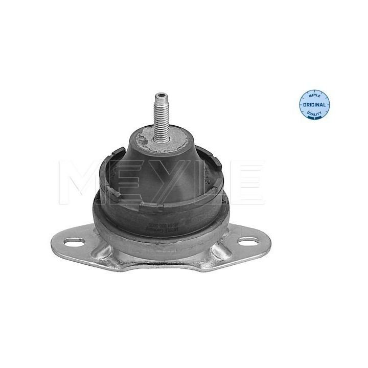 Variklio montavimas MEYLE 40-14 030 0005