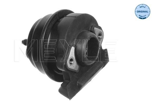 Variklio montavimas MEYLE 414 375 0001