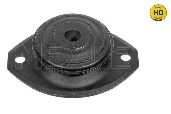 Variklio montavimas MEYLE 414 375 0002/HD