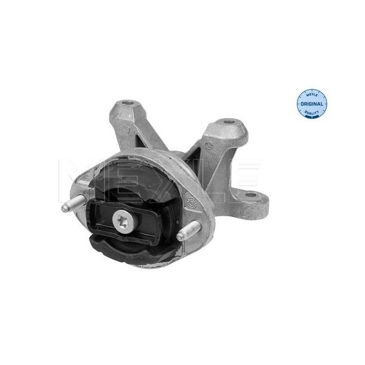 Montavimas, neautomatinė transmisija MEYLE 100 130 0006