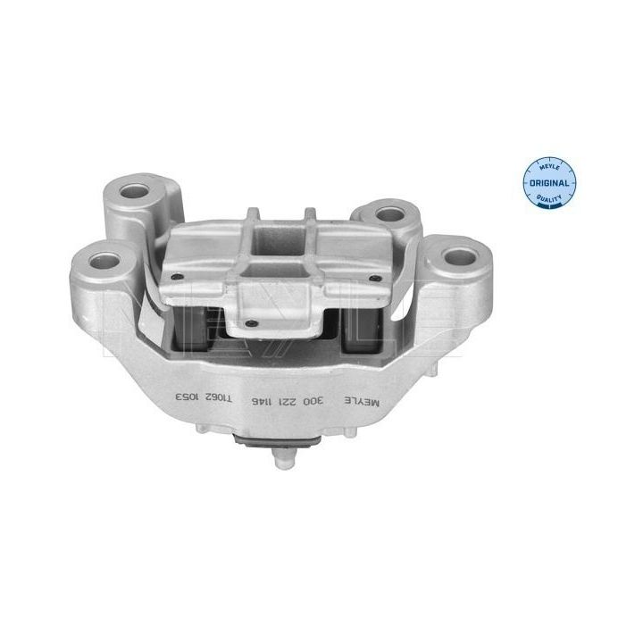 Montavimas, neautomatinė transmisija MEYLE 300 221 1146