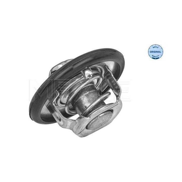 Termostatas, aušinimo skystis MEYLE 028 289 0000