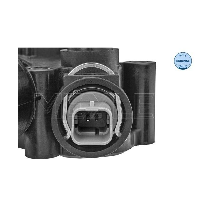 Termostatas, aušinimo skystis MEYLE 53-28 228 0000