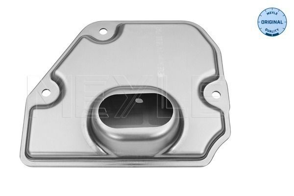 Hidraulinis filtras, automatinė transmisija MEYLE 314 136 0007