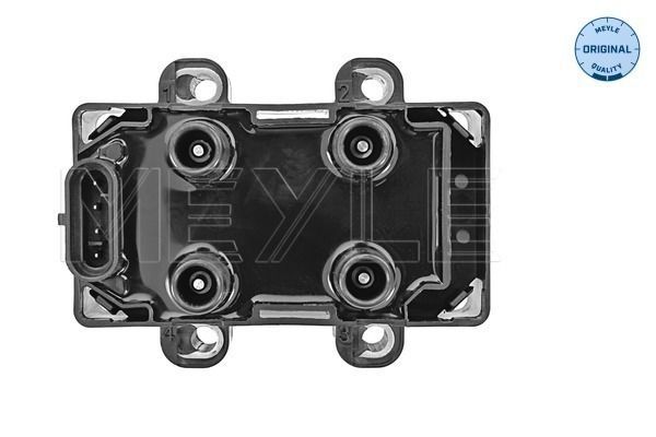 Ritė, uždegimas MEYLE 16-14 885 0001