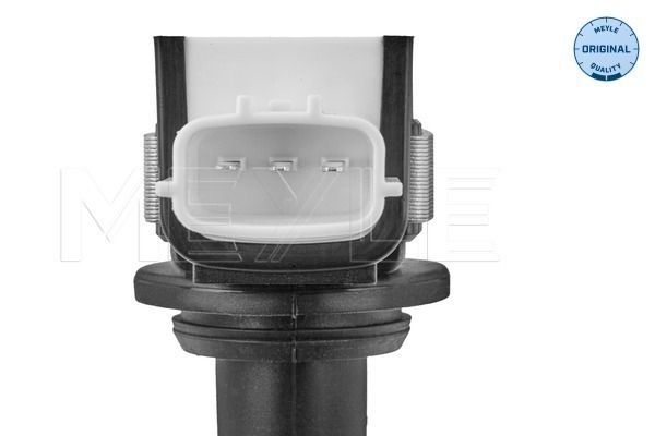 Ritė, uždegimas MEYLE 16-14 885 0016