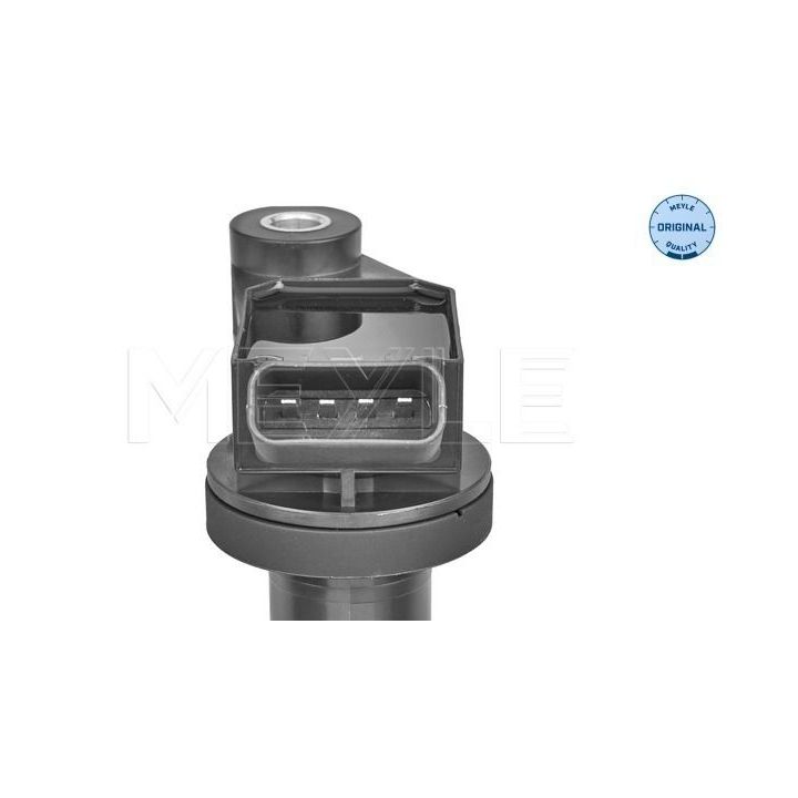 Ritė, uždegimas MEYLE 30-14 885 0000