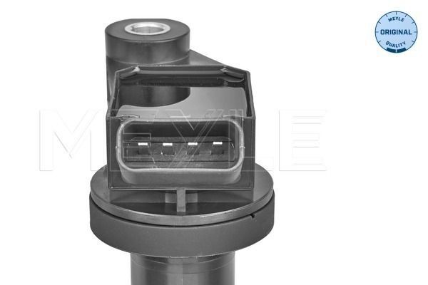 Ritė, uždegimas MEYLE 30-14 885 0000