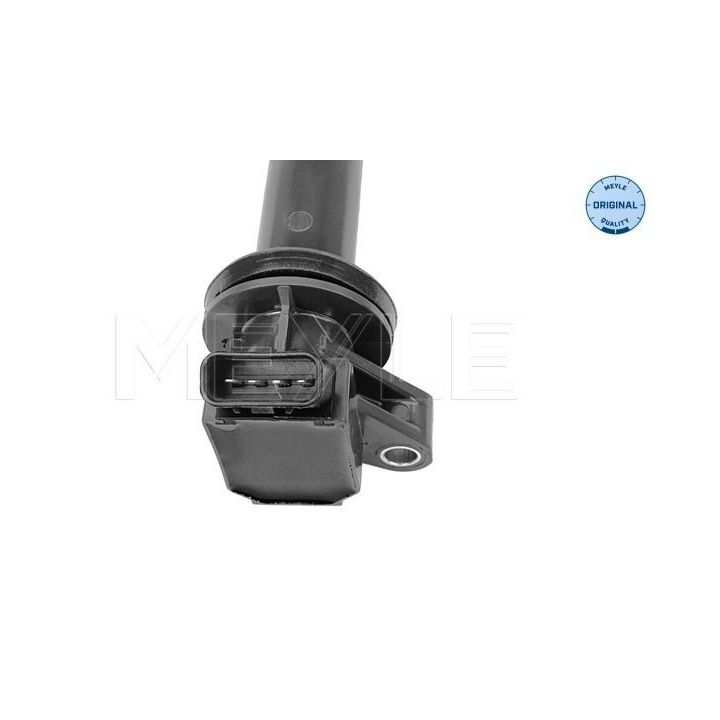 Ritė, uždegimas MEYLE 30-14 885 0004