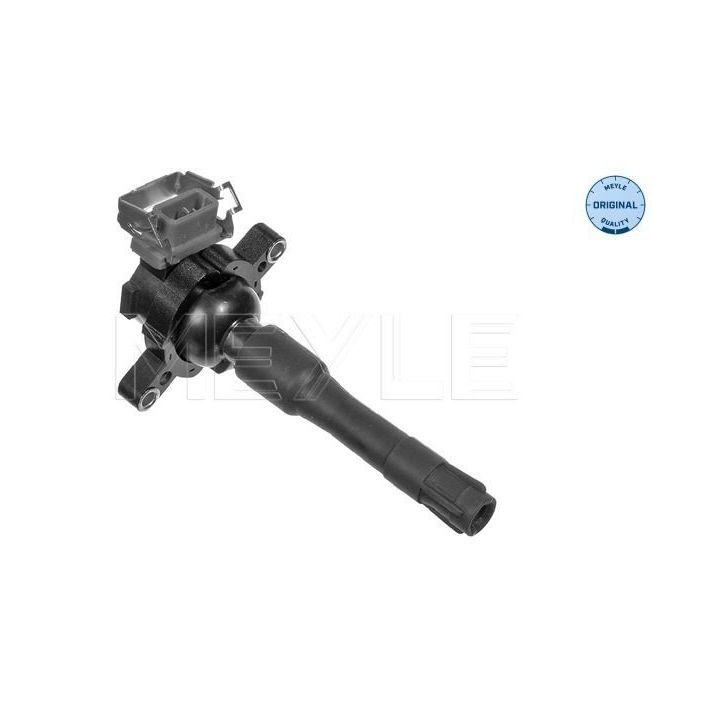 Ritė, uždegimas MEYLE 314 131 0000