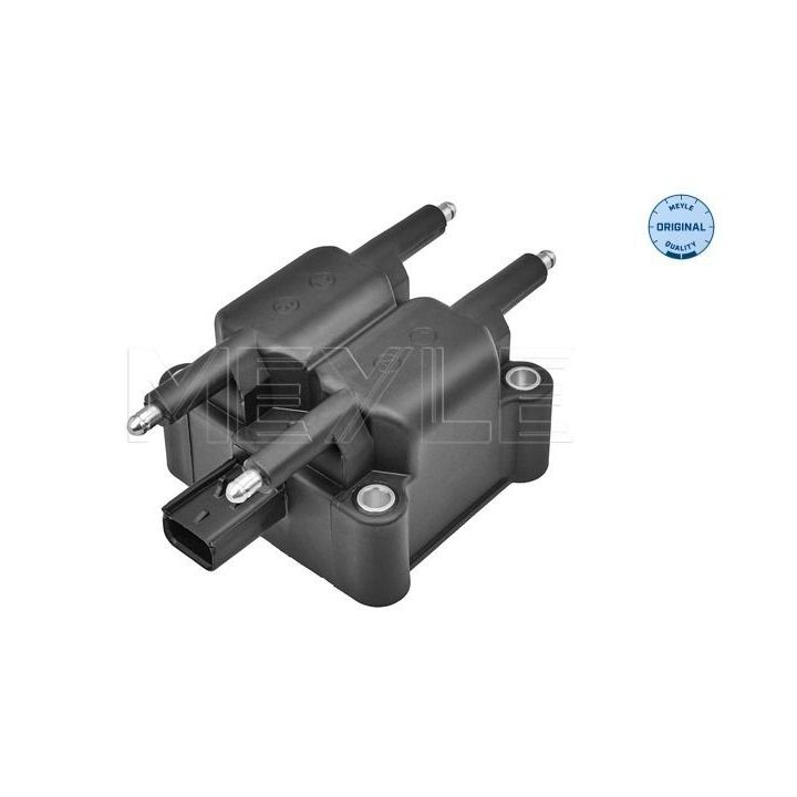 Ritė, uždegimas MEYLE 314 885 0010