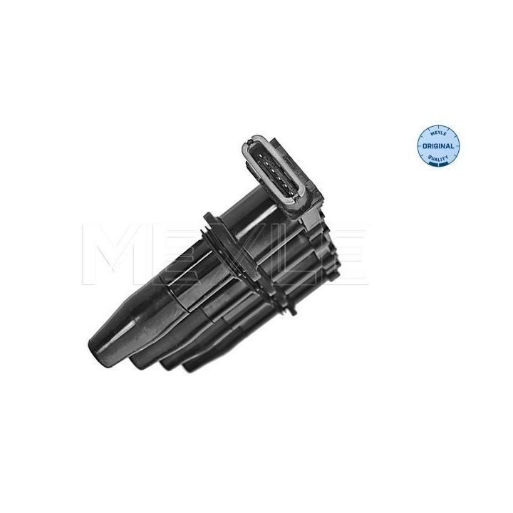 Ritė, uždegimas MEYLE 614 885 0007