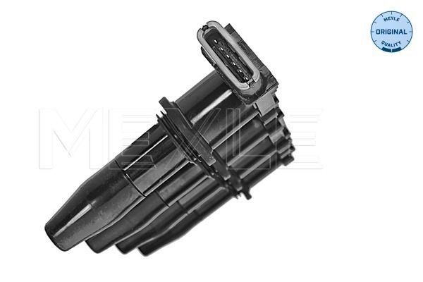 Ritė, uždegimas MEYLE 614 885 0007