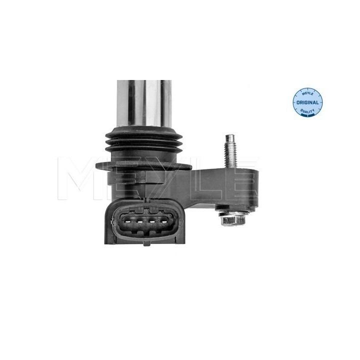 Ritė, uždegimas MEYLE 614 885 0019
