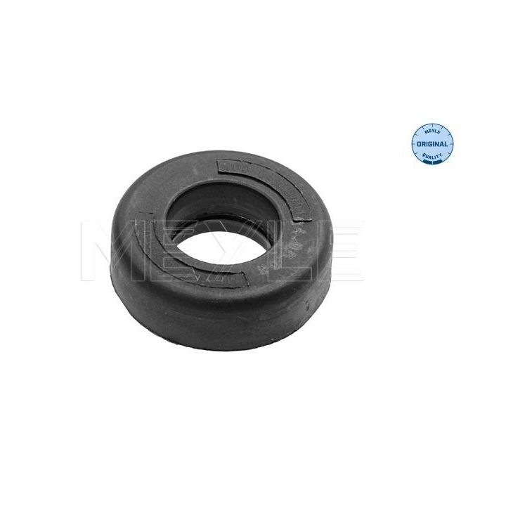 Frikcinis guolis, pakabos statramsčio atramos montavimas MEYLE 100 641 0001