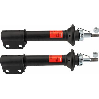 Amortizatorius TRW JGM289T