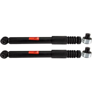 Amortizatorius TRW JGT215T